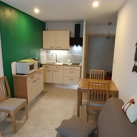 Apartment Arriu Mage 105 Bielle