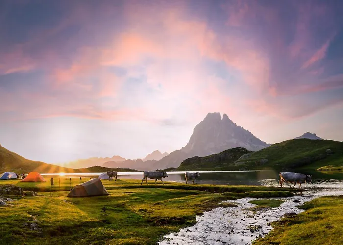 Arriu Mage 105 * Bielle